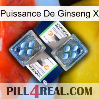Ginseng Power X viagra5